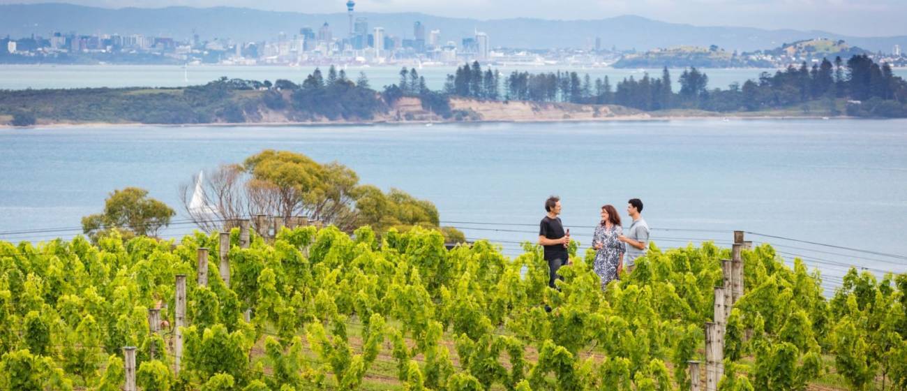 Waiheke Vineyards
